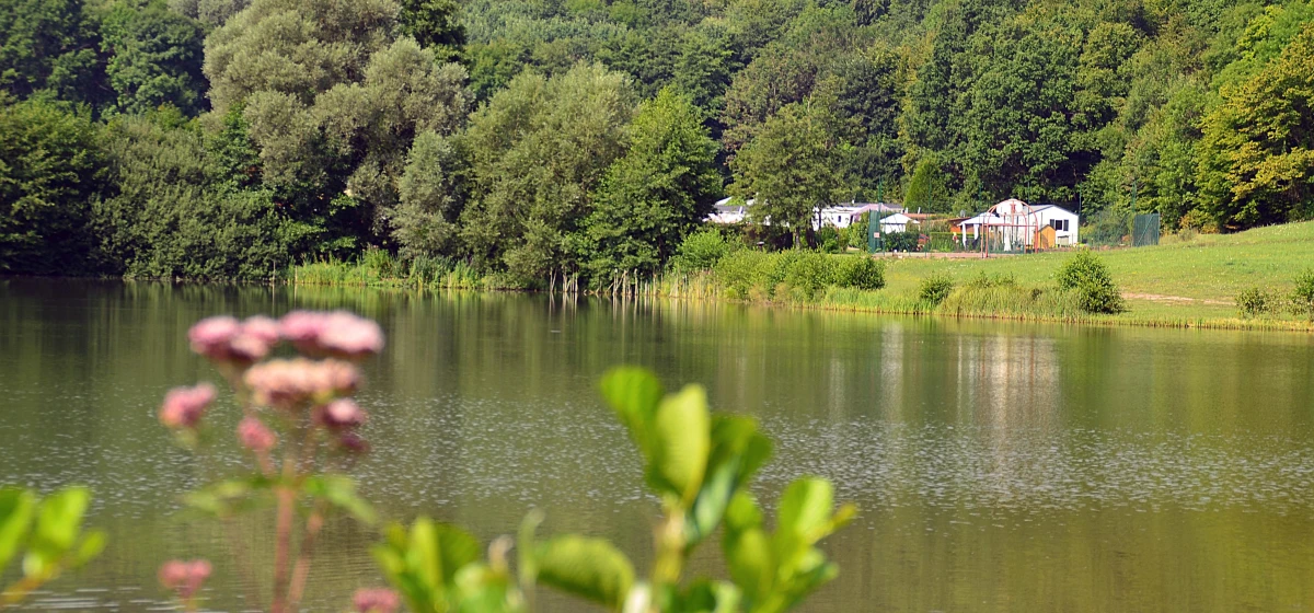 CAMPING LA CROIX DU BOIS SACKER