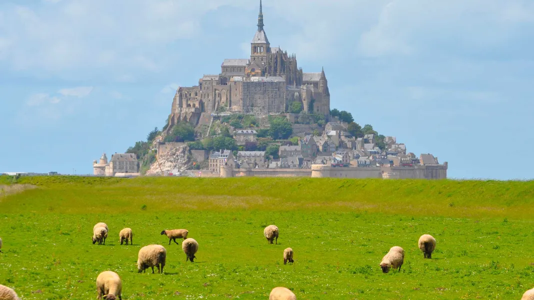 CAMPING LES CHEMINS DU MONT-SAINT-MICHEL